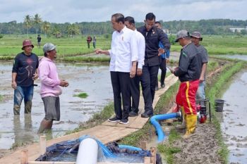 Presiden Jokowi meninjau penyaluran bantuan pompa irigasi di Bone
