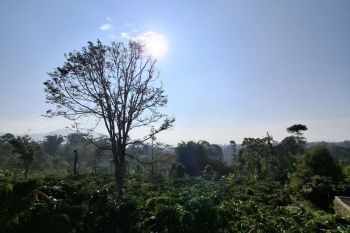 70 unit KBR bantu penyediaan bibit buah bagi warga