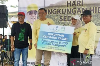 Bank Kalsel dan pemerintah daerah rehabilitasi lahan di pesisir Tanah Bumbu