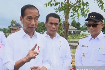 Presiden Jokowi tinjau bahan pokok di Pasar Cekkeng Bulukumba Sulsel