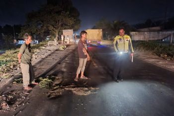 Remaja di Pekanbaru tewas di tempat usai bertabrakan melawan truk