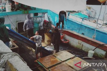 Dinas Perikanan Biak kelola Dana Otsus Papua Rp2 miliar