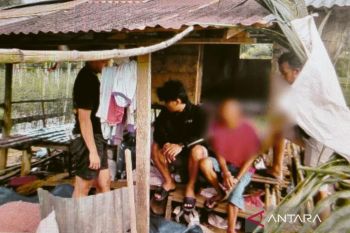 Polres Agam tangkap pengedar beserta satu kilogram daun ganja