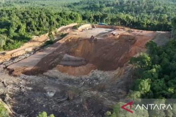 PLN pasok listrik untuk smelter nikel di Kariangau
