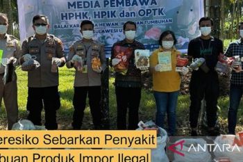 Karantina musnahkan ribuan  komoditas ilegal di Sulut