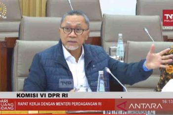 Mendag menduga kaos impor Rp50 ribu cara masuk Indonesia tidak sesuai