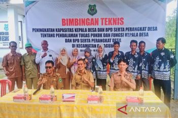 BPMD Kapuas dukung peningkatan kapasitas aparatur desa