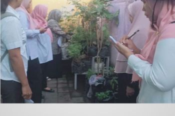 KWT Dasan Agung Mataram masifkan program pemanfaatan pekarangan