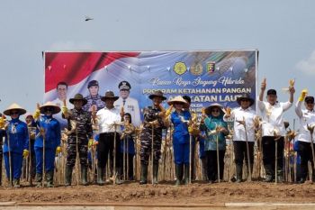 Mentan sebut kolaborasi kunci keberhasilan antisipasi krisis pangan