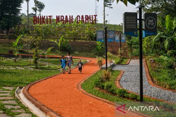 Luas RTH di Kota Bandung