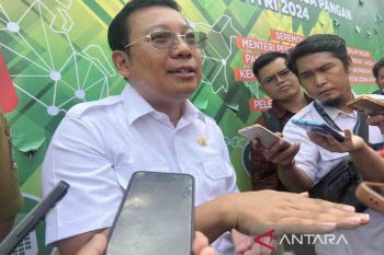 Bapanas masifkan GPM demi bantu masyarakat