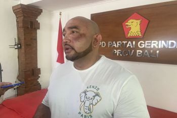 Gerindra dukung rencana KPU Bali pilkada tanpa baliho