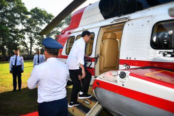 Jokowi tinjau panen kopi di Lampung Barat