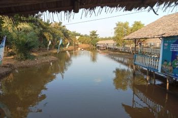Muba sinergikan minum kopi serentak pinggir sungai dengan Festival Embung Senja