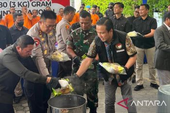 Polda Riau musnahkan berbagai jenis narkoba asal Malaysia
