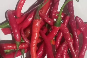 Riau masih bergantung daerah lain untuk penuhi kebutuhan pangan