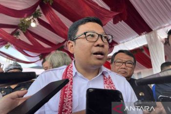 Bapanas mendorong kembangkan UMKM lokal demi diversifikasi pangan
