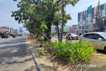 DLH Bengkulu pagari taman antisipasi rusak jelang Pembuangan Tabut