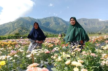 Usai kebakaran, Bukit Gendong kawasan Gunung Rinjani tetap dibuka