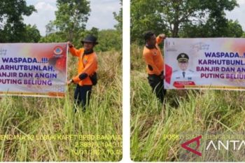 BPBD Banyuasin dirikan tujuh posko cegah karhutla