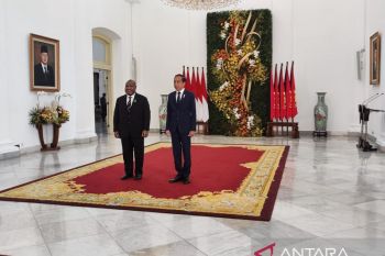 to meet needs in PNG border: Jokowi