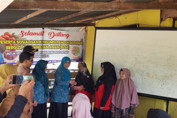 Ketua TP-PKK Pesisir Selatan hadiri sosialisasi Gerakan Sadar Pangan B2SA
