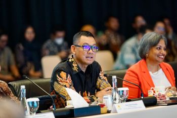 Dukung dekarbonisasi di sektor industri, PLN siap suplai listrik hijau melalui layanan GEAS