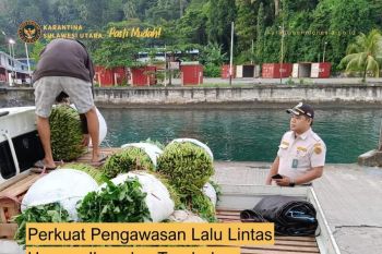 Karantina periksa komoditas  jamin Sulut bebas ancaman penyakit
