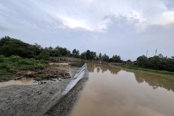 Pemeliharaan irigasi di Lampung jaga kelancaran distribusi air