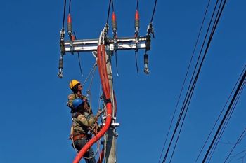 PLN Bali catat pertumbuhan pelanggan 141 persen