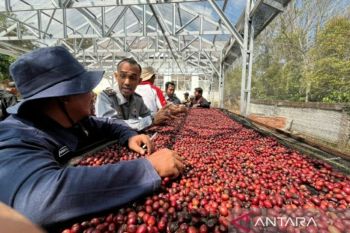 Kopi asal Muara Enim dan Lahat sudah go internasional, tembus pasar Malaysia