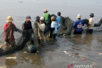 Menjaring ikan bercampur sampah di Bandar Lampung