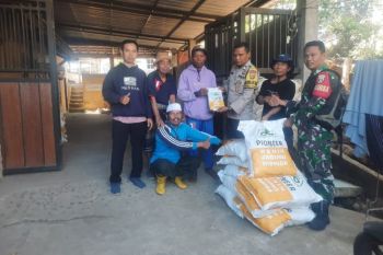 Kementan berikan bantuan bibit jagung untuk petani di Lombok Tengah