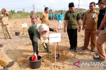 Bangka Selatan tanam 1.243 pohon di lahan kritis