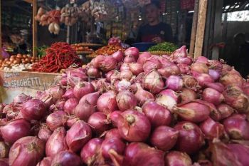 Harga pangan 24 Juli: Bawang-minyak dan gula kompak turun, beras naik