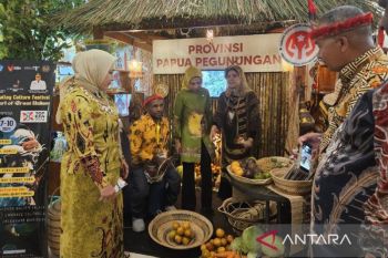 Dekranas dorong UMKM Papua Pegunungan kembangkan kualitas produk usaha
