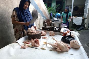Distan Kota Mataram dorong peternak ayam gunakan pakan mandiri