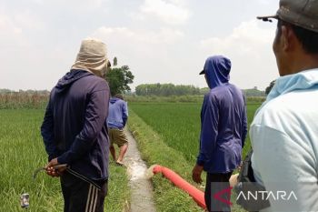 Kuota pupuk bersubsidi di  OKU capai 5.240 ton Urea