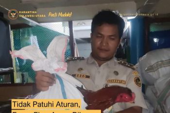 Karantina tahan unggas  tanpa pemeriksaan kesehatan