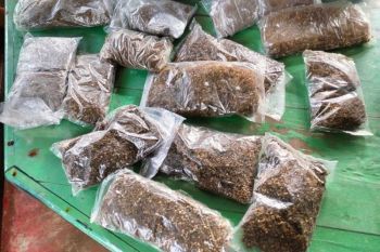 Aparat gagalkan penyelundupan ganja di perbatasan Skouw