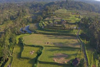 Mengenal Desa Angseri, Desa BRILiaN dengan tata kelola terbaik