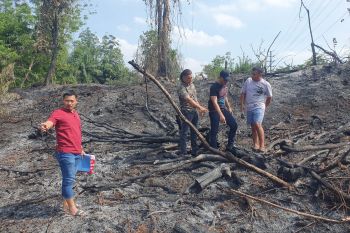 Bakar lahan untuk tanam sayur, pria di Pekanbaru dibui