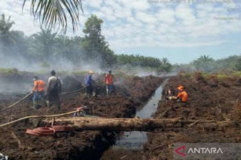 Lima titik kebakaran lahan gambut di Mukomuko Bengkulu