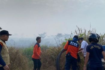 Pemkab Kubu Raya atasi karhutla dengan pencegahan dan pemadaman
