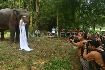 Kompetisi foto dan video satwa di TSI Bogor