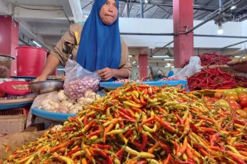 BPS: Penurunan harga cabai dorong Sulut alami deflasi 0,11 persen
