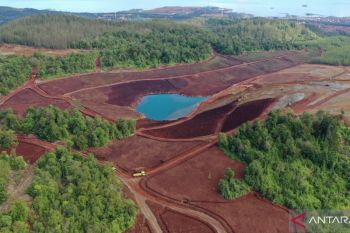 Selama 2023 Antam Kolaka reklamasi lahan bekas tambang seluas 33,72 ha
