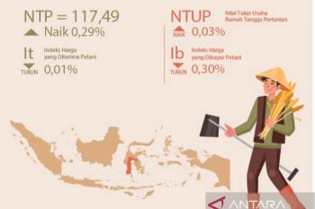 NTP Sulsel per Juli 2024 mengalami kenaikan 0,29 persen
