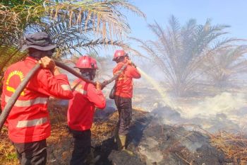 Karhutla terjadi pada lahan PT DSI di Siak seluas 3 hektare
