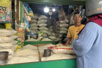 Harga bawang naik dan beras medium turun di level Rp13.290 per kg